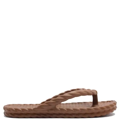 CHINELO BRIZZA AREZZO MARROM