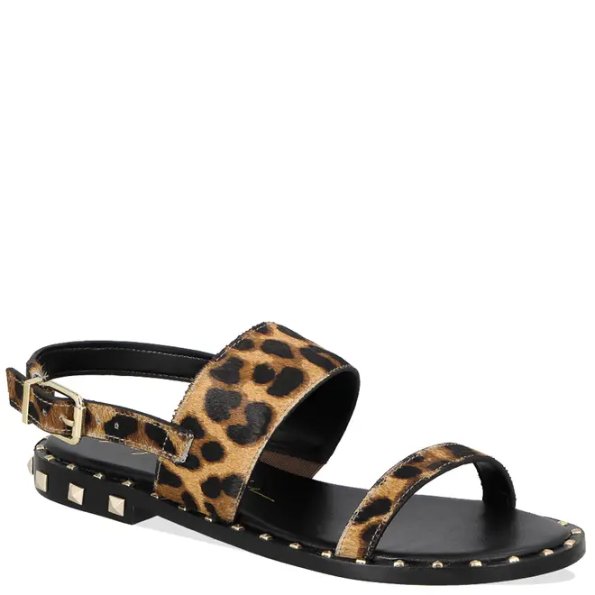 SANDÁLIA RASTEIRA LUIZA BARCELOS ANIMAL PRINT