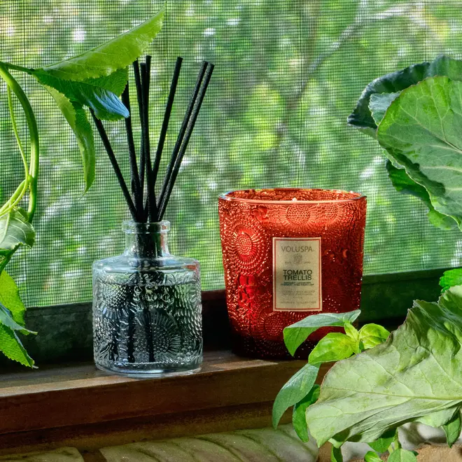 VELA AROMÁTICA COPO VD CLAS 60H REL TOMATO TRELLIS