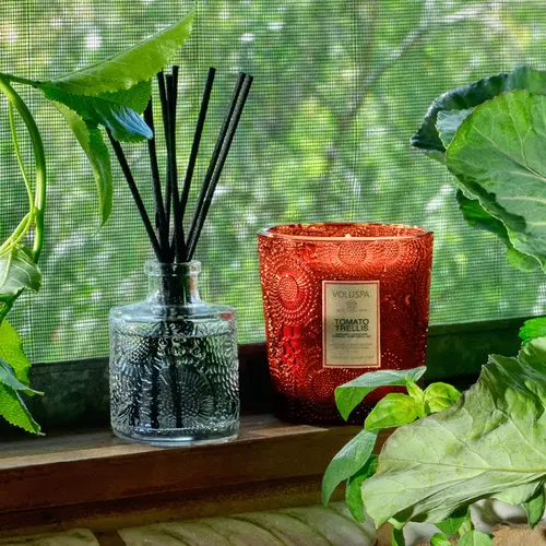 VELA AROMÁTICA COPO VD CLAS 60H REL TOMATO TRELLIS