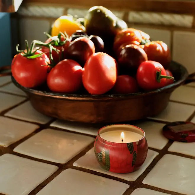 MINI VELA AROMÁTICA LATA 25H TOMATO TRELLIS