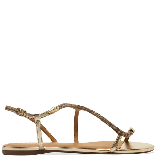 SANDÁLIA RASTEIRA SNAKE STRASS AREZZO DOURADO